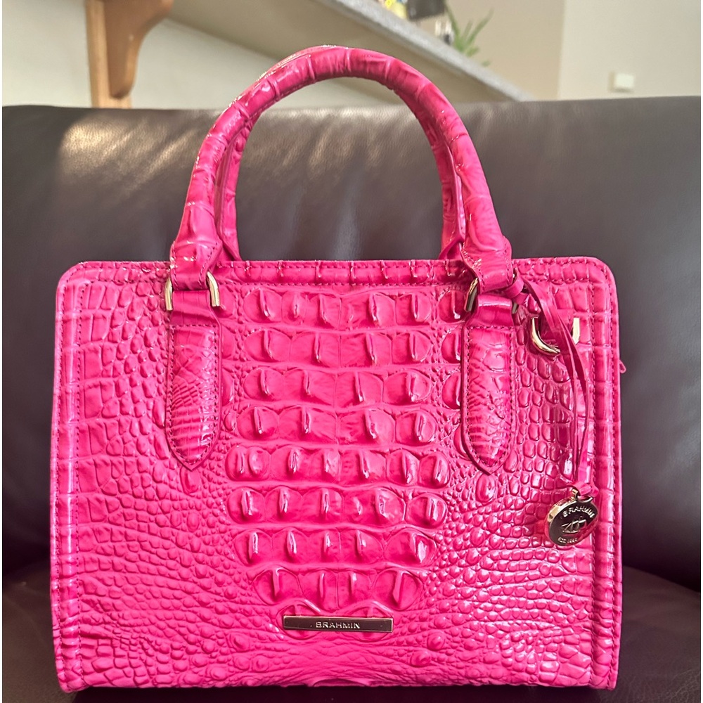 ‼️NWT‼️ BRAHMIN BAG‼️